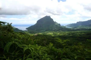 Panorama sur le mont Rotui entre les baies d’Opunohu et de Cook depuis le col des Trois Cocotiers pendant une randonnée guidée à Moorea.
