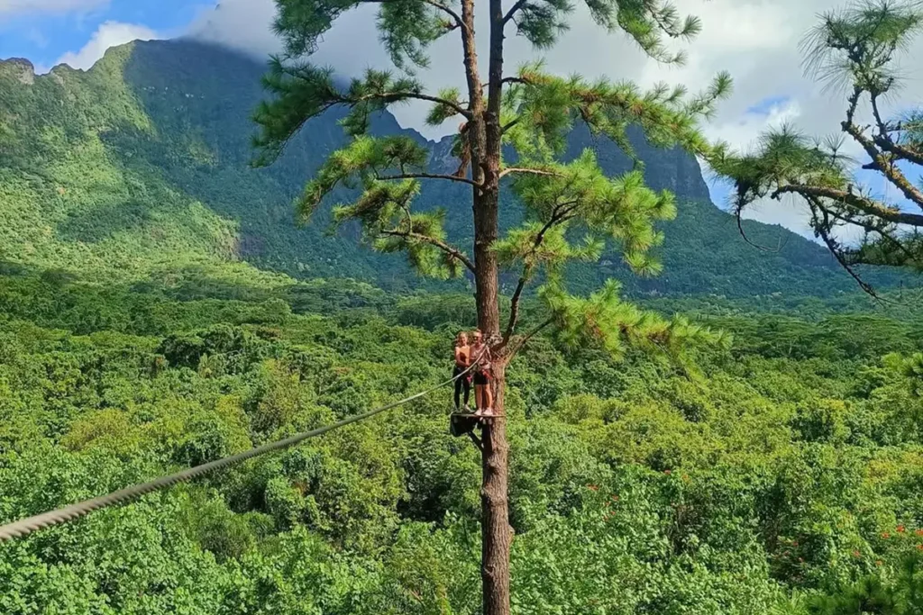 Deux femmes se tiennent debout sur une plateforme en bois installée à la cime d'un arbre sur le parcours du Tiki Parc à Moorea