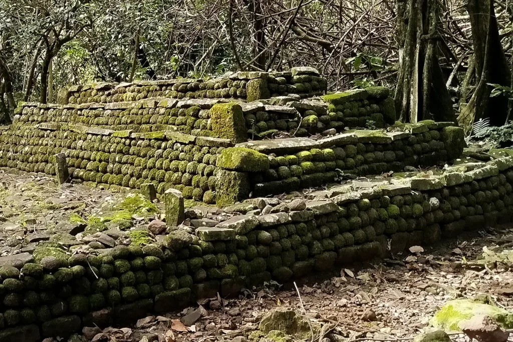 Un site archéologique Polynésien vue de près. Ancienne construction à Moorea faite de pierres rondes volcaniques.