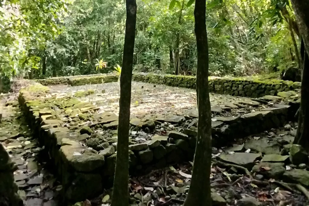 Un Marae en forme de grand rectangle. Deux arbres aux troncs fins se tiennent devant la construction