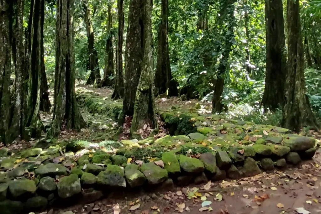 Un site archéologique d'anciens Marae dans une foret à Moorea