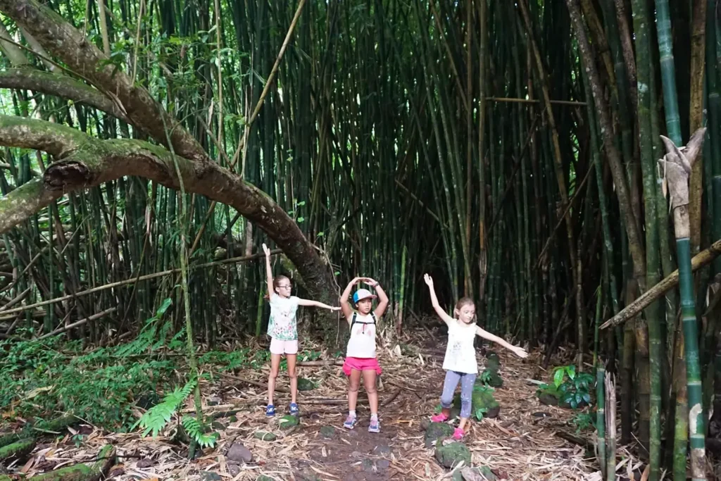 Enfants explorant une bambouseraie lors d’une randonnée guidée familiale vers le col des Trois Cocotiers à Moorea.