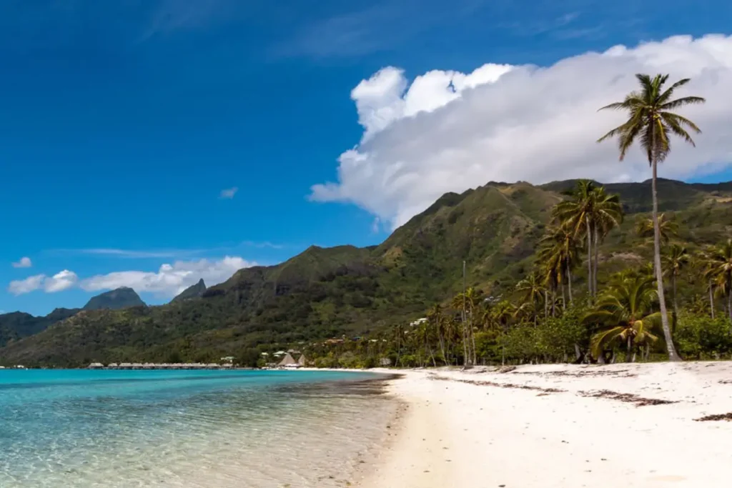 La plage publique de Temae bordée d'une cocoteraie à Moorea