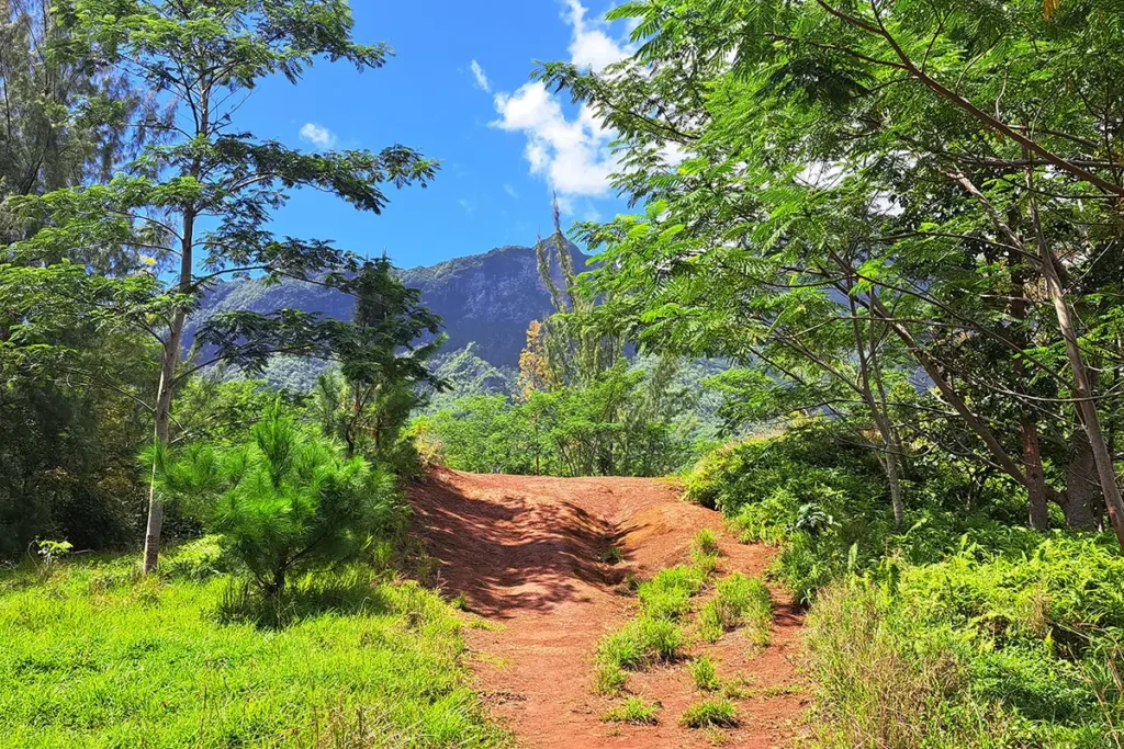 Un chemin qui mène au plateau du Bounty, entouré de nature sauvage du centre de l'ile de Moorea.