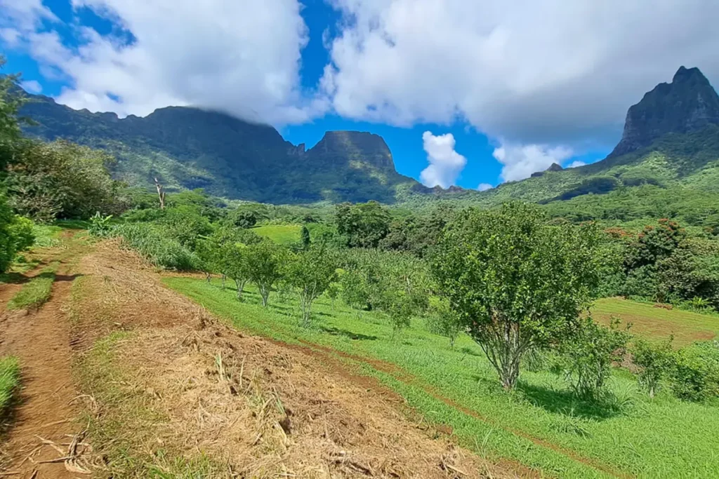 Vue sur la Caldera depuis les champs du Lycée agricole de Moorea