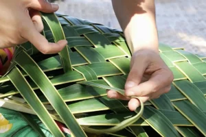 Hands weaving coconut palm leaves during a Polynesian cultural workshop at Tiki Village in Moorea