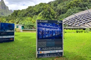 criobe-moorea-guided-visit-fare-natura-museum