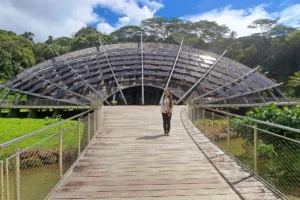 fare-natura-museum-moorea-guided-visit