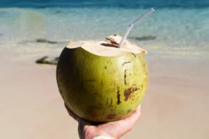 Noix de coco fraîche avec paille tenue devant une plage et le lagon turquoise de Moorea