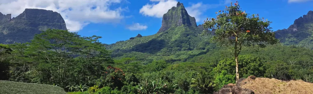 Panorama de la Caldera, vue des champs de Moorea dans la baie d'opunohu