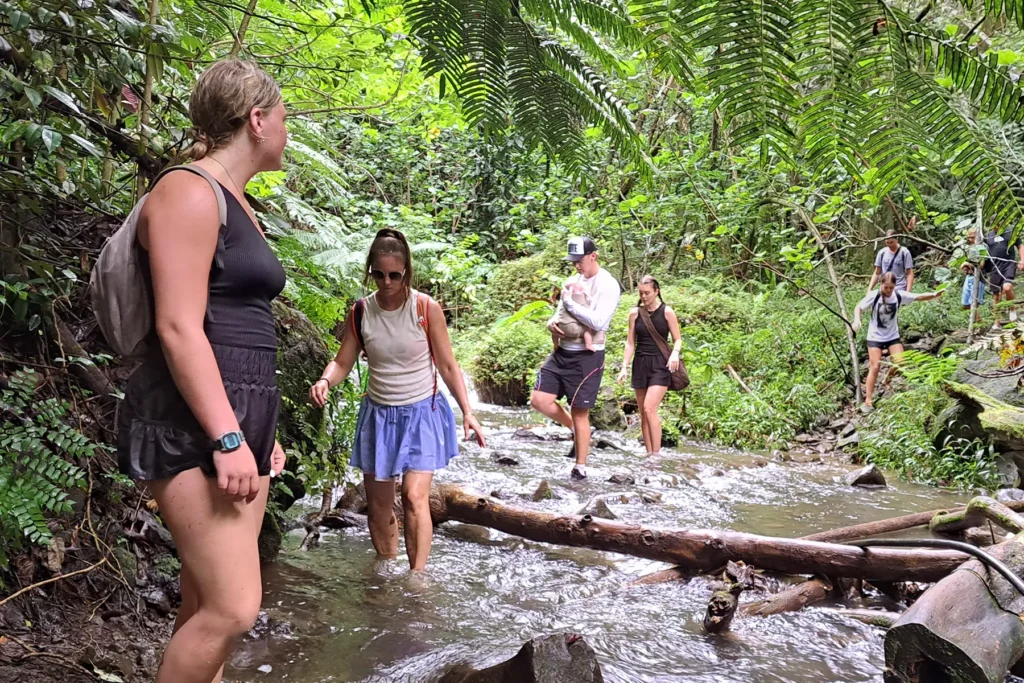 guided-hike-putoa-waterfalls-moorea-river-tour