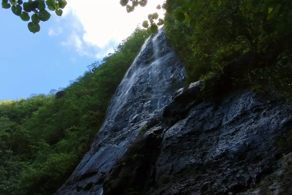 guided-hike-waterfall-moorea-island