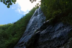 guided-hike-waterfall-moorea-island