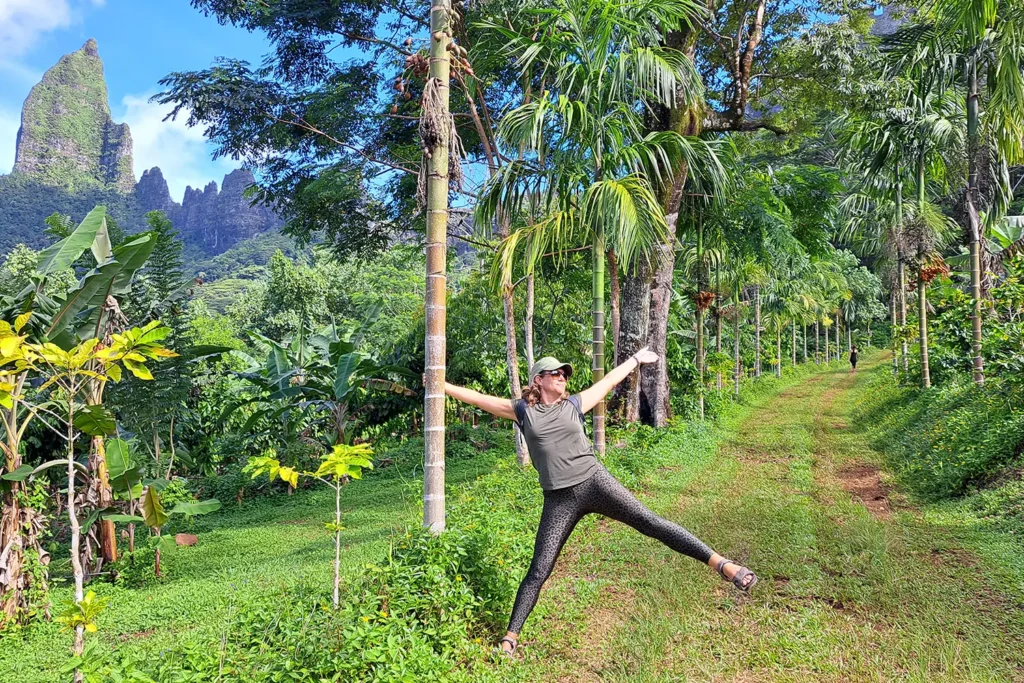 Sentier de randonnée pédestre entre les palmiers et plantation lors d'un tour guidé à Moorea