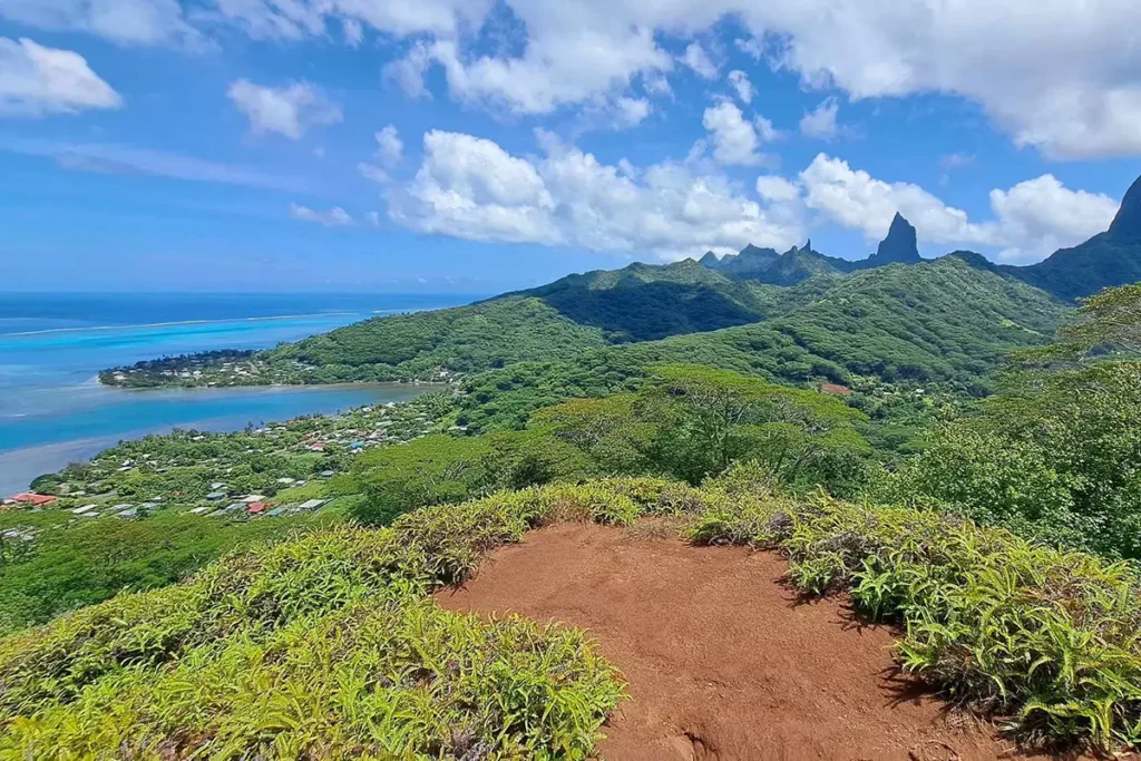 Au sommet du mont Ahutaa dans la baie d'Atiha de Moorea