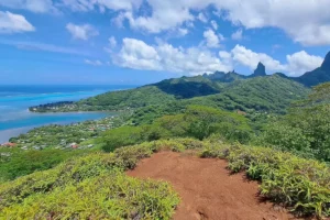 Au sommet du mont Ahutaa dans la baie d'Atiha de Moorea