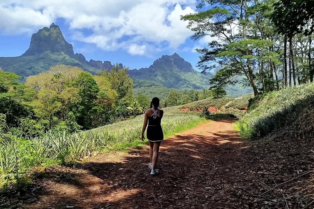 Une randonneuse marche sur un sentier entre les champs d’ananas et les montagnes de Moorea