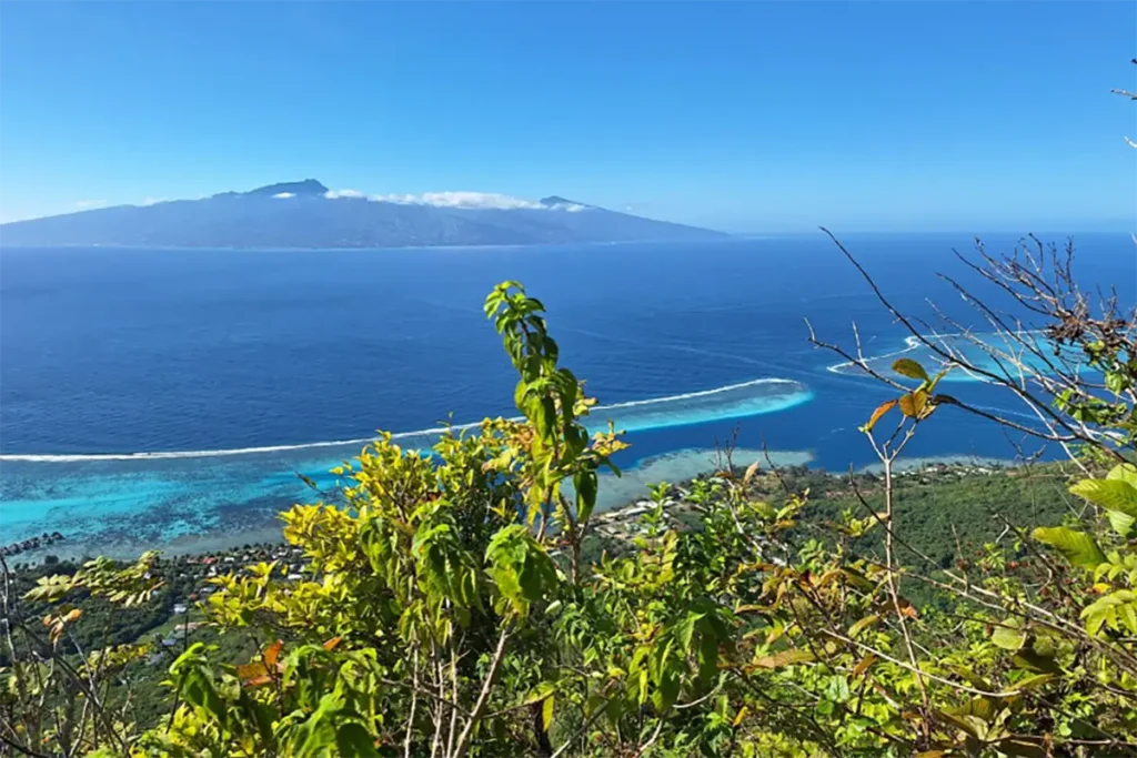 Vue sur l'ile de Tahiti depuis les hauteurs de Moorea