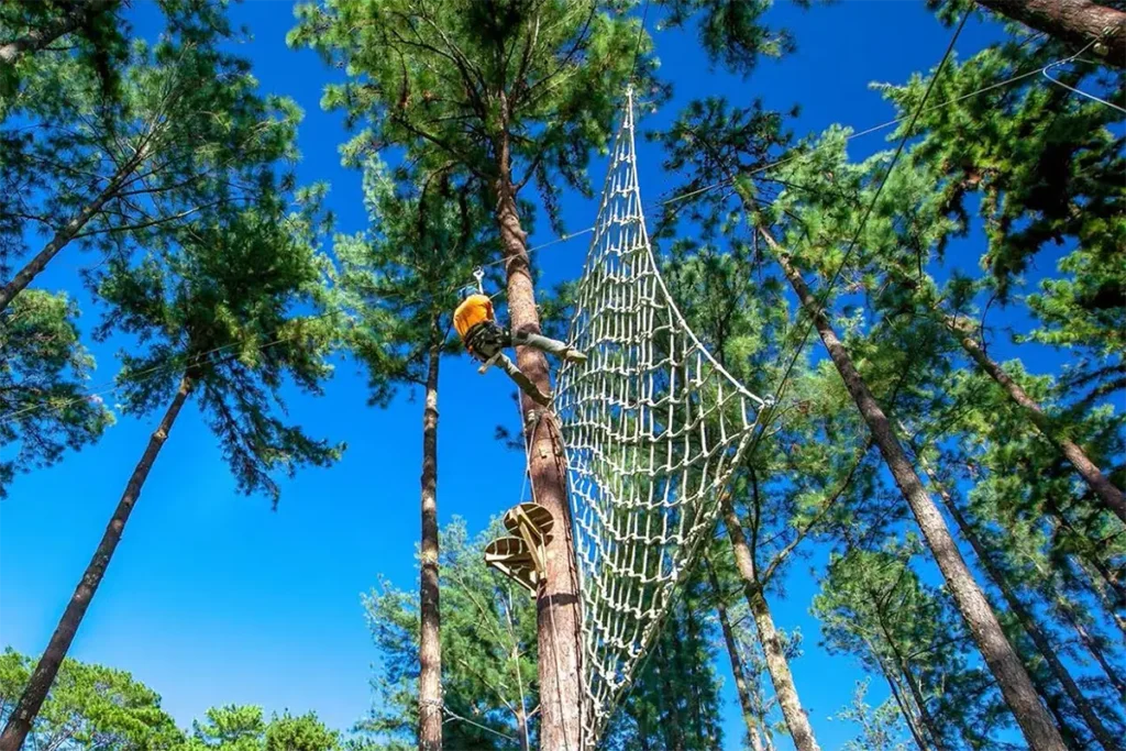 Vue en contre-plongée d'une personne sautant dans un filet accroché dans les grands pins de Moorea