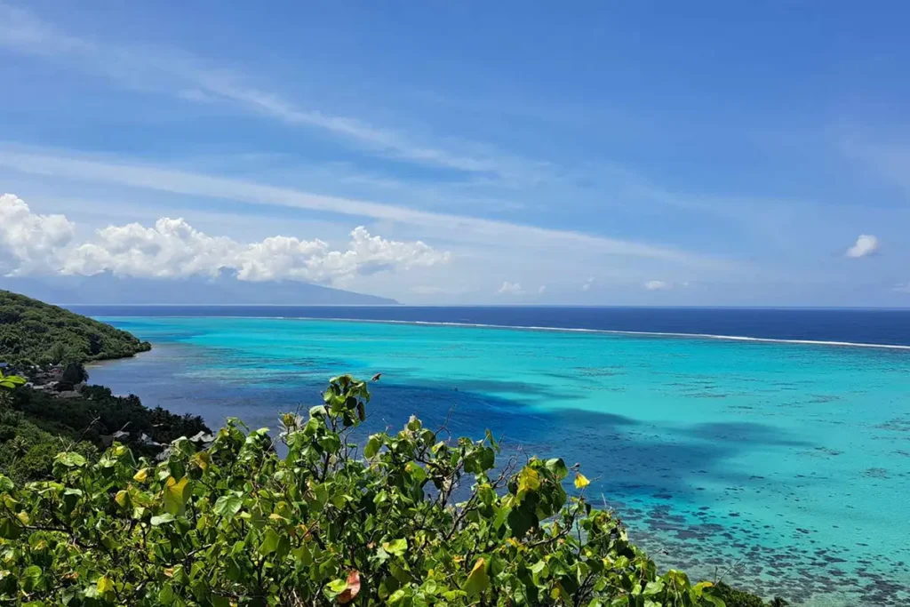Vue sur le lagon de Moorea depuis le sommet du mont Ahutaa