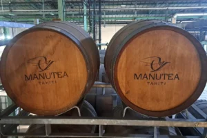 Deux grands fûts en bois Manutea Tahiti dans la zone de production de l’usine Rotui à Moorea