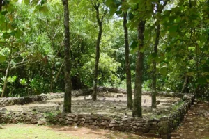 Un site archéologique polynésien. Ancien Marae dans une foret à Moorea