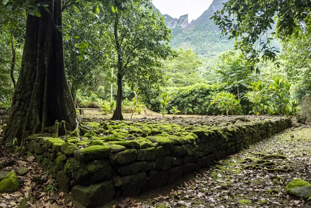 Construction ancienne en pierre à Moorea. Site archéologique Polynésien