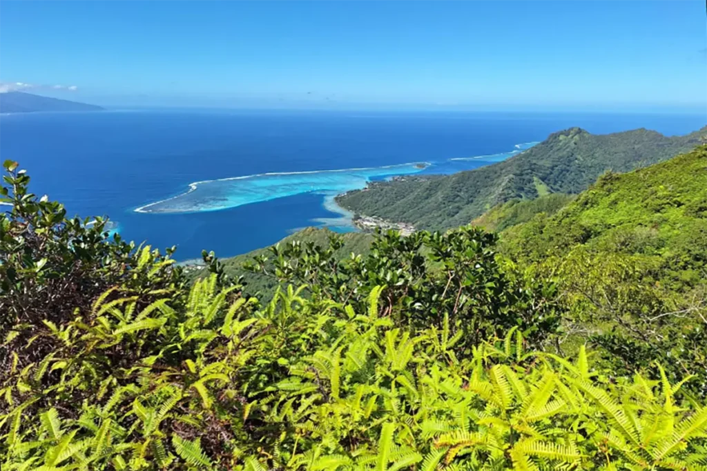 Vue depuis le sommet du mont de Temae sur le lagon de Moorea et la passe de Vaiare