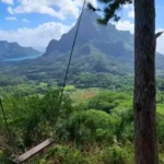La Balançoire de la randonnée des trois pinus à Moorea avec une vue panoramique sur la baie d'Opunohu