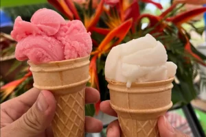 Deux cornets de glaces artisanales aux fruits tropicaux du Lycée Agricole d’Opunohu à Moorea