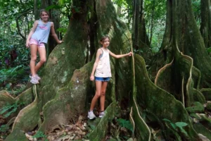 Deux jeunes visiteuses au milieu des grandes racines d’un mape dans la forêt d’Opunohu à Moorea