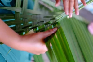 Close-up of hands weaving long coconut palm leaves during a workshop at Tiki Village in Moorea
