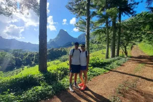 Couple walking through the pine forest with Moorea mountains behind them on the 3 Pinus trail
