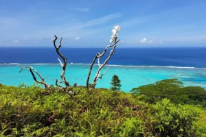 Atiha Bay and deep blue lagoon seen from a natural viewpoint on Mount Ahutaa in Moorea