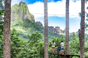 Une famille se tient de dos sur une plateforme en bois sur une étape du parcours aventure du tiki parc de Moorea. Ils regarde la paysage de montagne en arrière plan