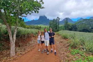 Family on a trail between pineapple fields and the mountains of Opunohu Valley in Moorea