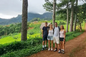 Family on a pine forest trail during a private guided hike to 3 Pinus in Moorea