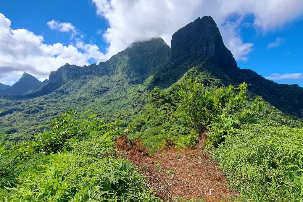 Nuages accrochés aux montagnes volcaniques de Moorea lors d’une randonnée guidée près du col des Trois Cocotiers.