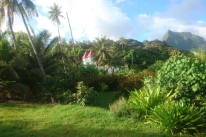 Sainte-Famille Church in Haapiti seen among palm trees and tropical vegetation in Moorea
