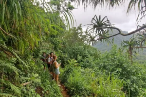Hikers on a tropical trail surrounded by vegetation during the guided excursion to 3 Pinus