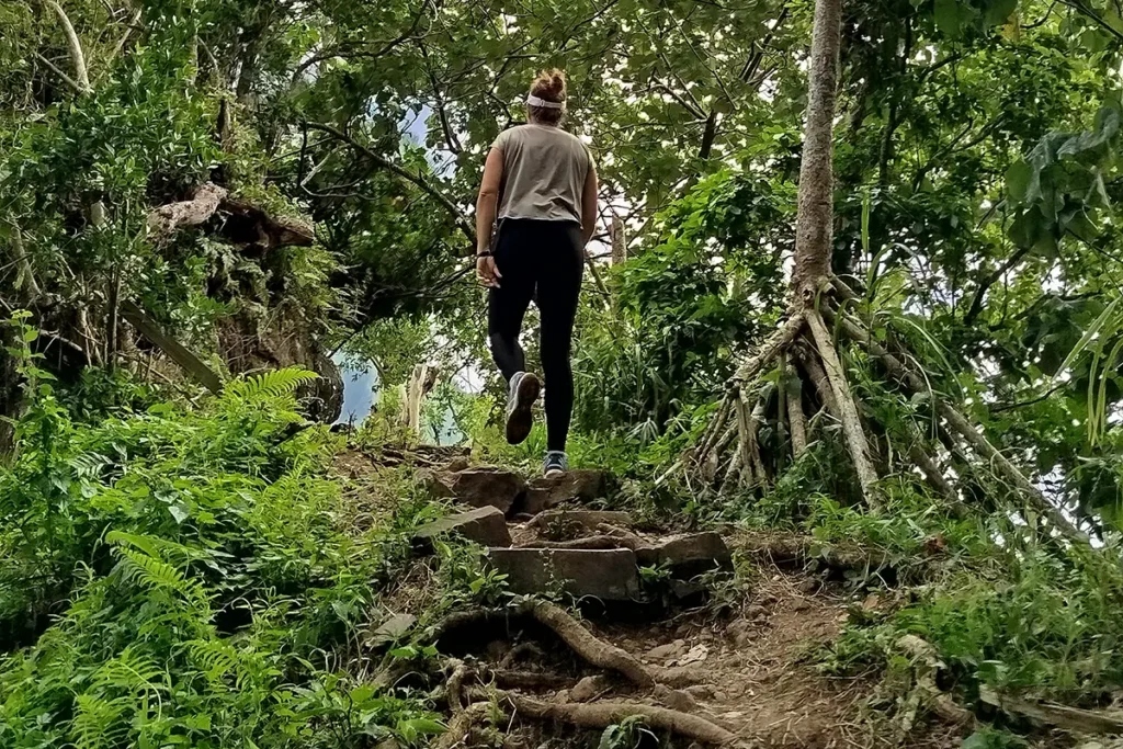 Une femme guide de randonnée vue de dos qui monte un sentier dans une foret tropicale à Moorea