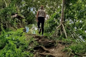 Une femme guide de randonnée vue de dos qui monte un sentier dans une foret tropicale à Moorea
