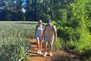 Couple walking between rows of pineapple plants during a private guided hike in Opunohu Valley