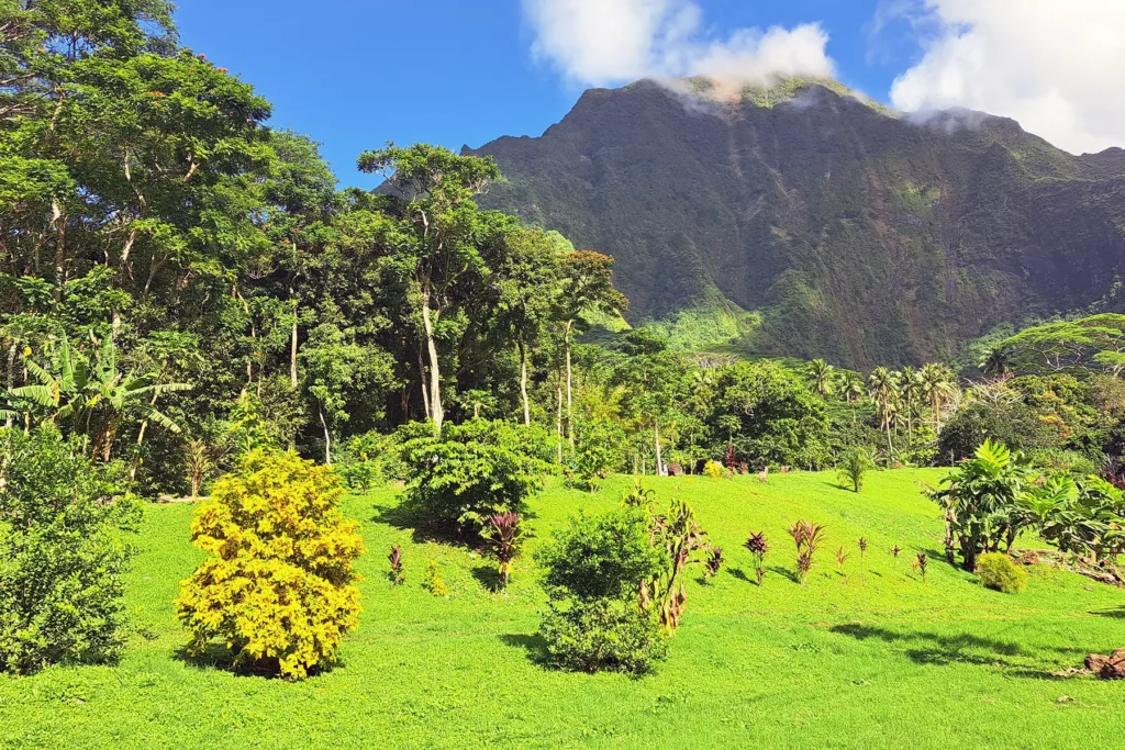 moorea-island-landscape-guided-tour