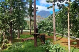 Parcours de tyrolienne et plateformes en bois dans la forêt du Tiki Parc adapté aux enfants