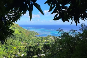 Moorea’s turquoise lagoon seen through tropical trees from the Magic Mountain trail