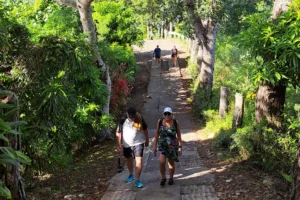 Hikers climbing the steep shaded Magic Mountain trail during a guided excursion in Moorea