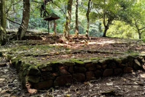 Marae en pierres volcaniques dans la forêt près de la route du Belvédère d’Opunohu à Moorea