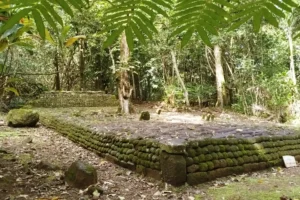 Marae rectangulaire en pierres volcaniques entouré par la forêt tropicale de Moorea