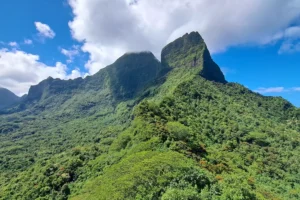 Vue sur les montagnes volcaniques de Moorea pendant la randonnée guidée vers le col des Trois Cocotiers.